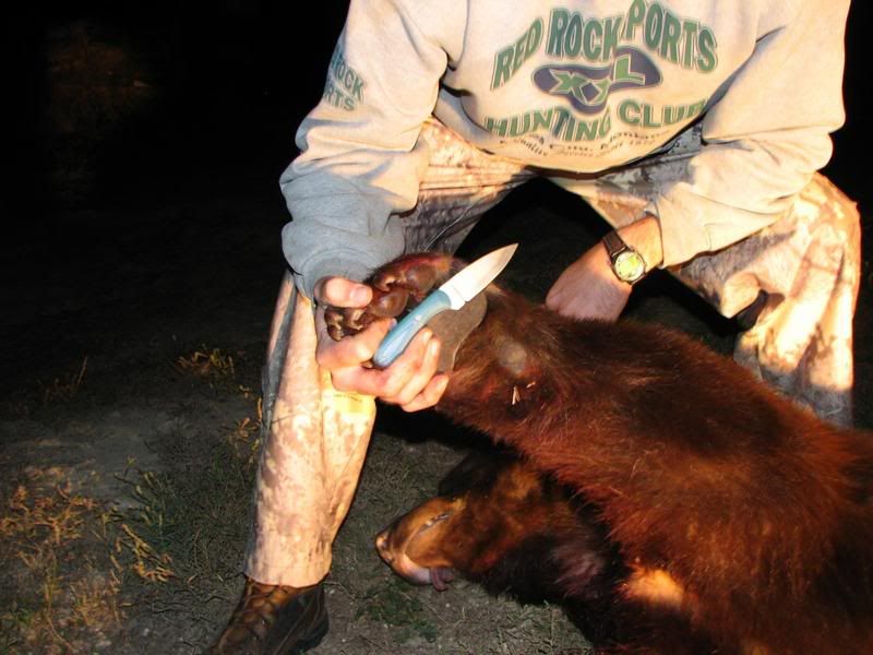 bear1.jpg