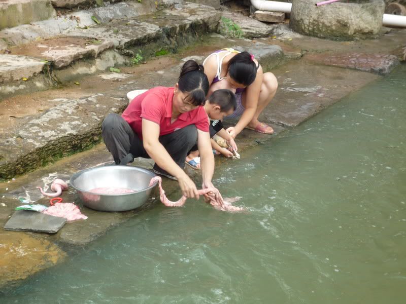 P1000886.jpg