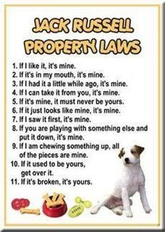 jackrussellpropertylaws.jpg