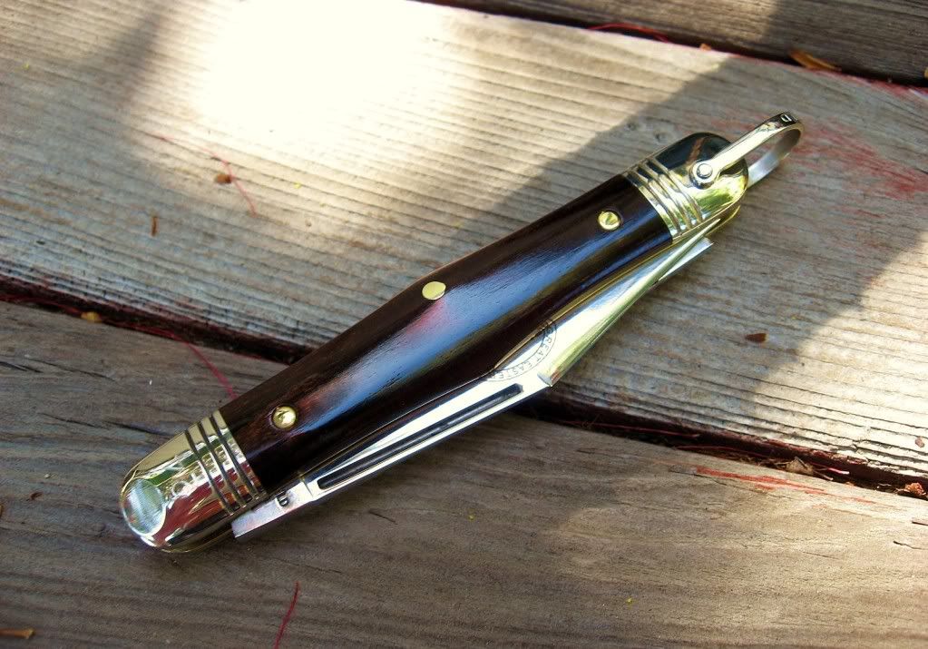 GEC33AncientKauri.jpg
