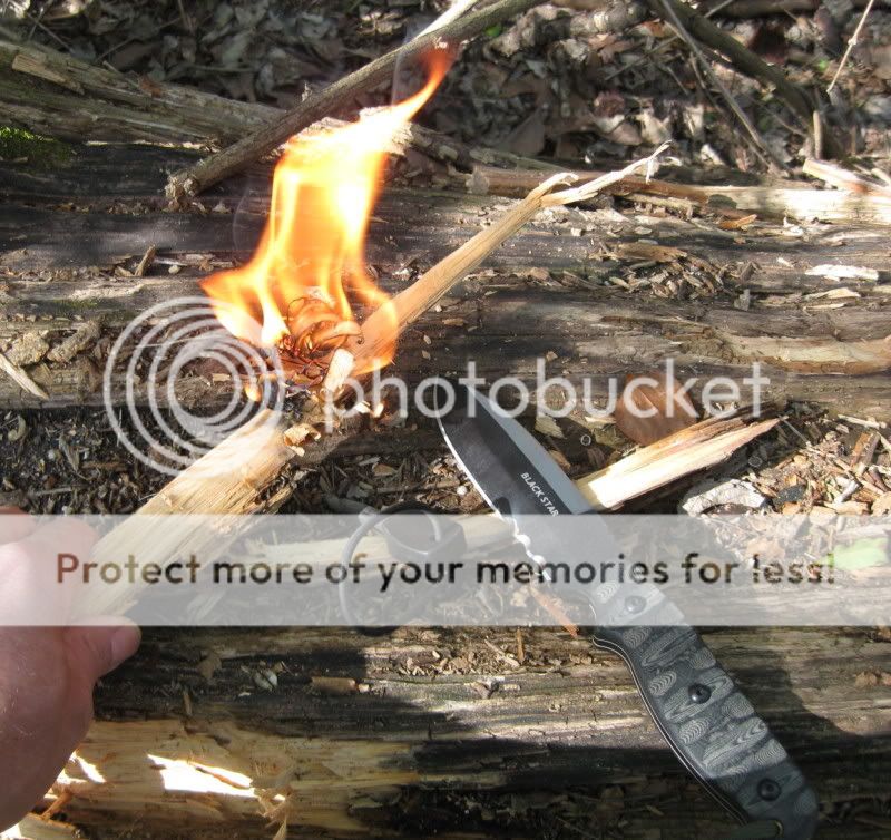 IMG_2920.jpg