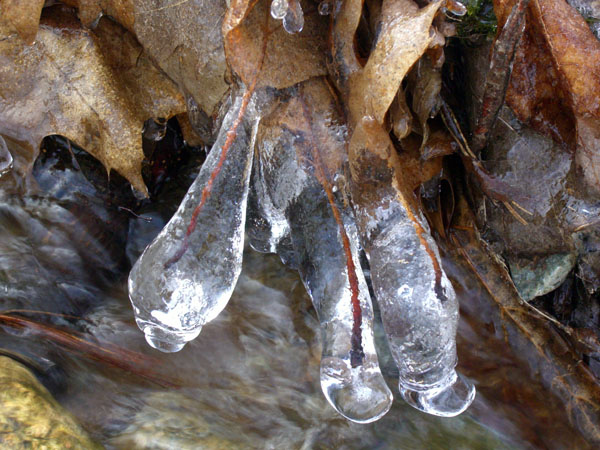 Freshwater_Pearls_by_FortyTwoBlades.jpg