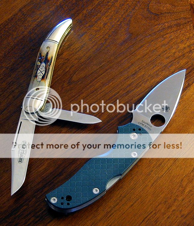 IMG_2379copy_zpsa88fc5a4.jpg