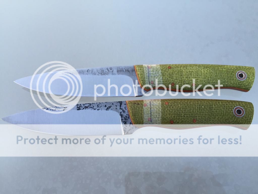 IMG_0663_zpsf7b72602.jpg