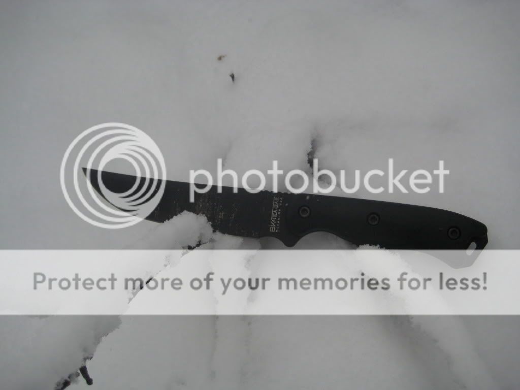IMG_3509_zps9a3db60c.jpg