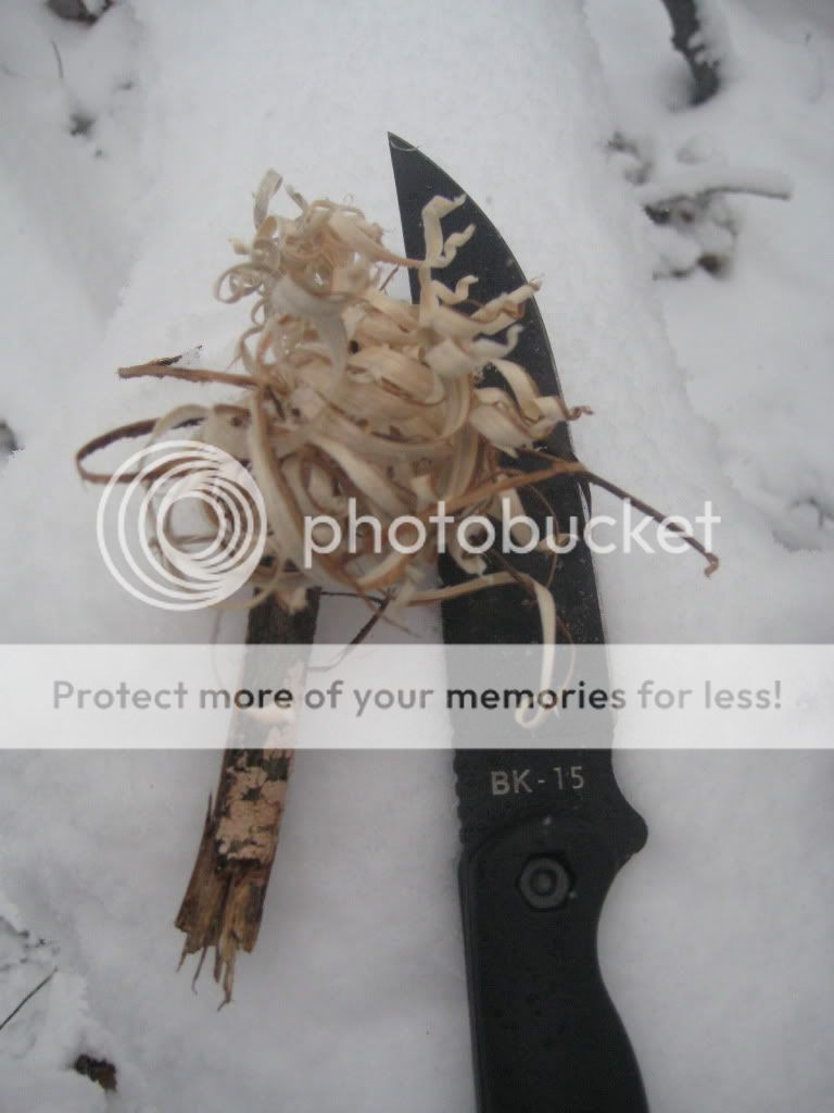 IMG_3514_zpsec91c5fa.jpg