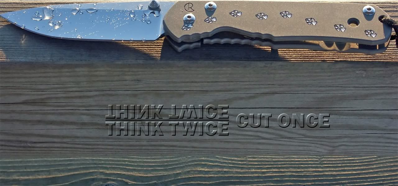 Sebenza_in_sun_small.jpg