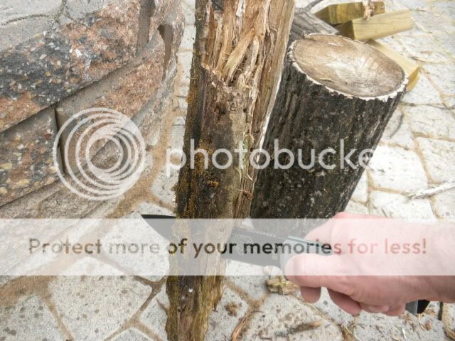 DSCN0463.jpg