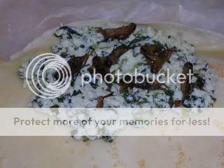 DSCN5869.jpg