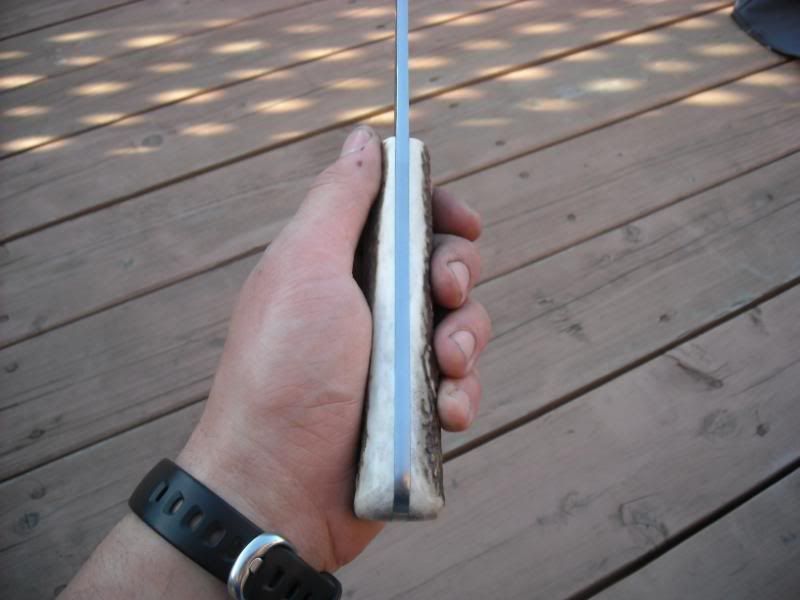 ElkHudsonBaywithsheath003.jpg