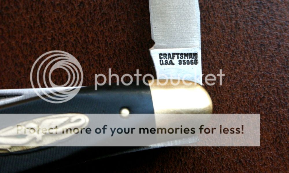 IMG_0103_zps9947fc3c.jpg~original