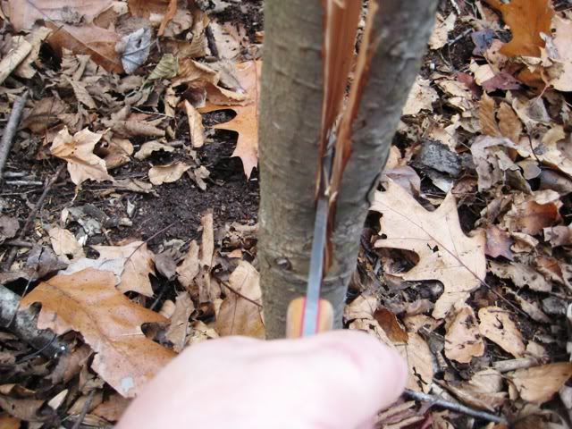 fallhike017.jpg