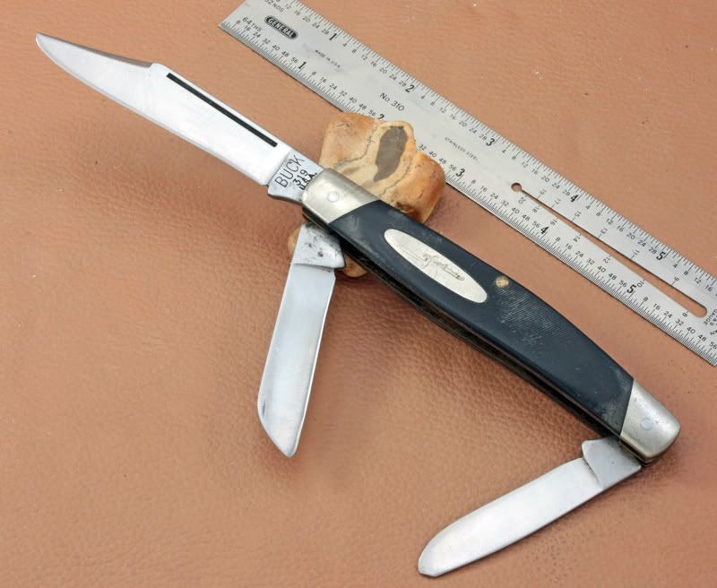 Buck301319.jpg