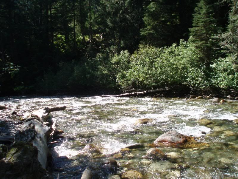 Summer2011121.jpg