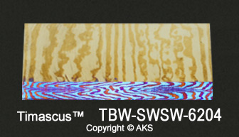 TBW-SWSW-6204-s.jpg