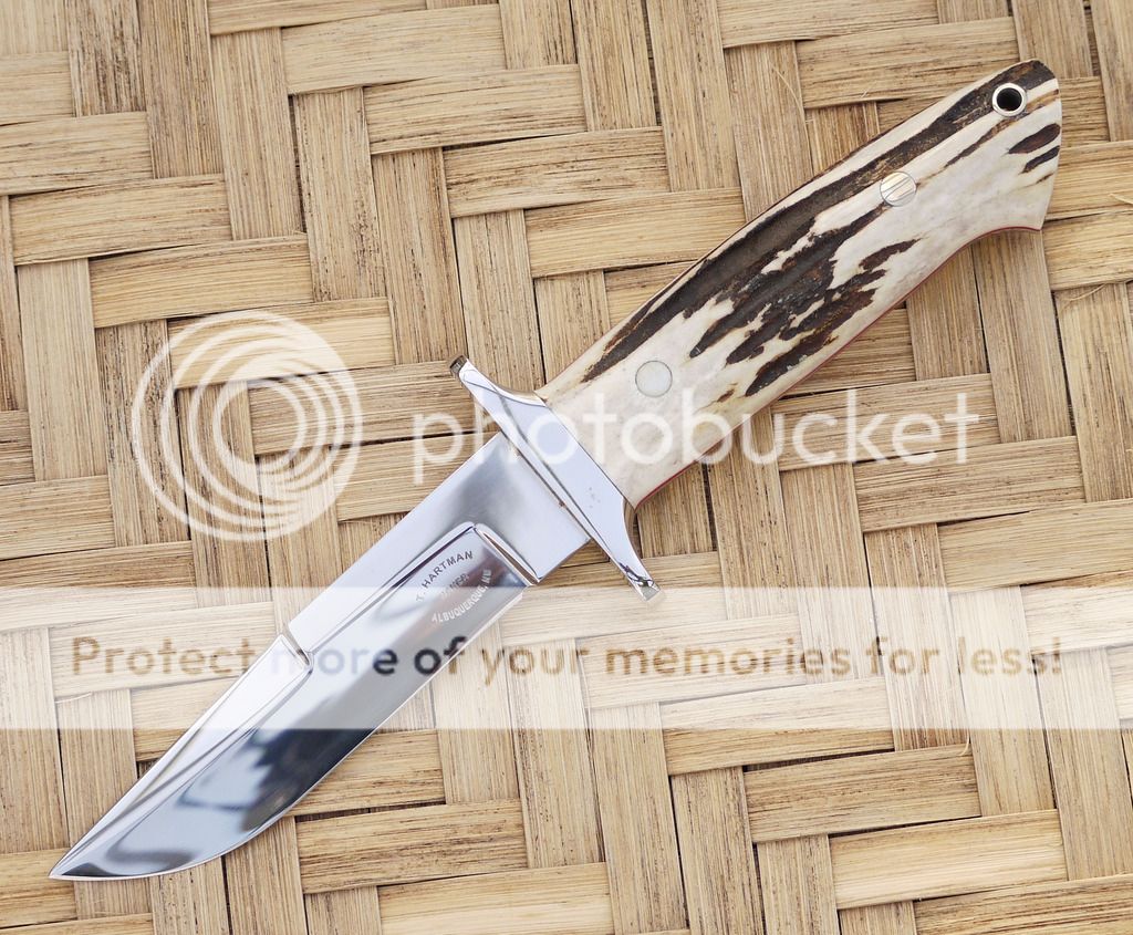 hartman%203_zpsecwfruzb.jpg