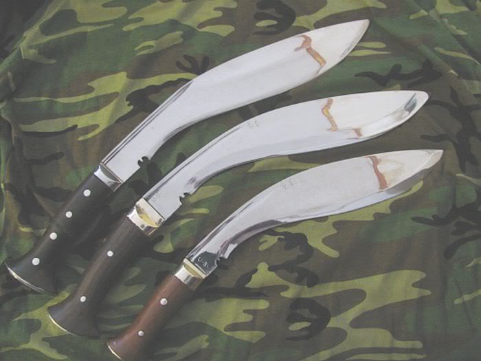 SCAK-M43-M43.jpg