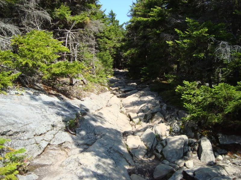 misc019-1.jpg