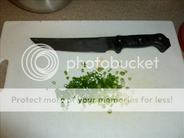 P1010023-resized_zpsf81af0d4.png