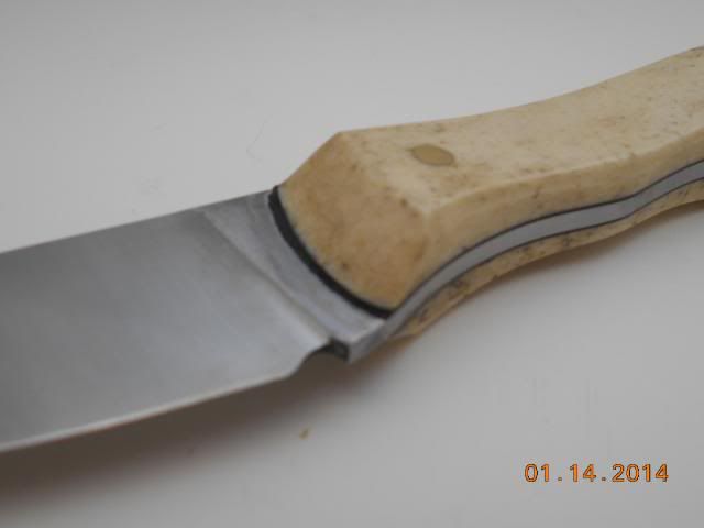 DSCN0687.jpg