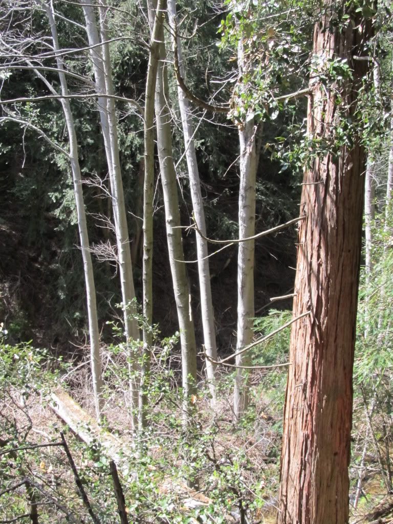 IMG_1143.jpg