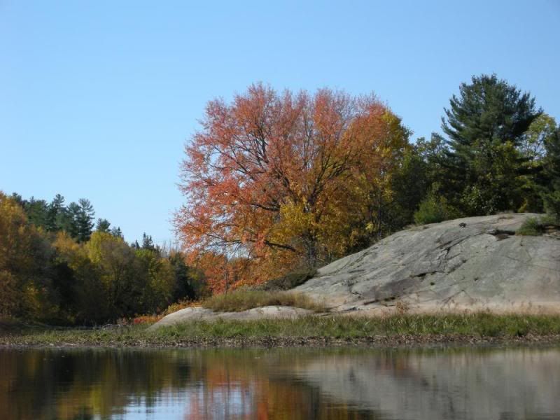 DSCN1648.jpg