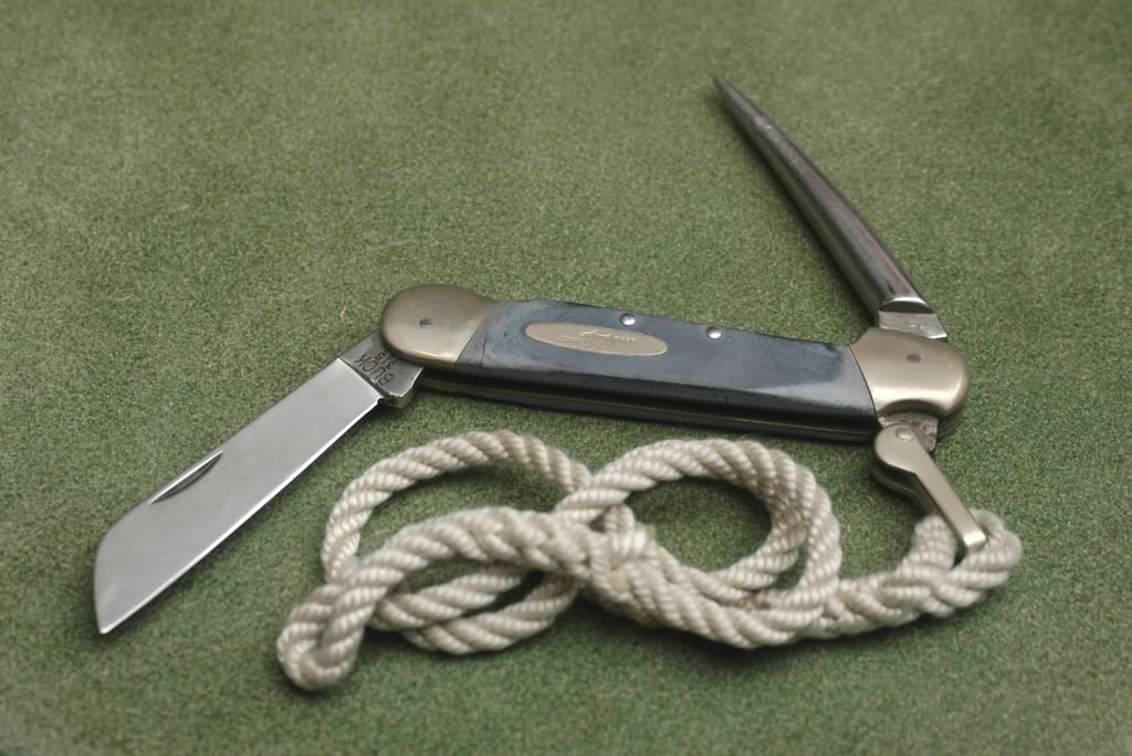 Buck315.jpg