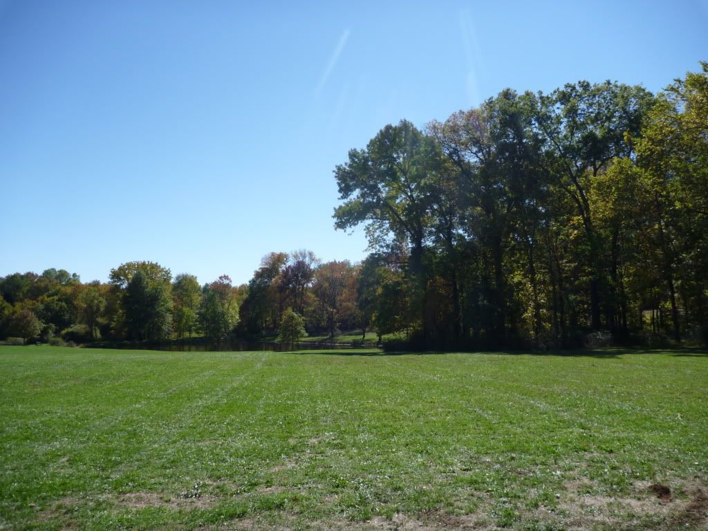 P1010566.jpg