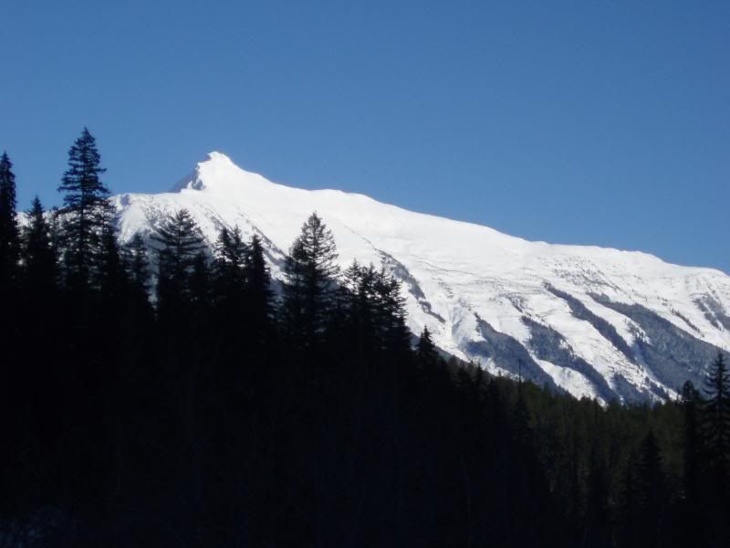 begbiewalk015.jpg