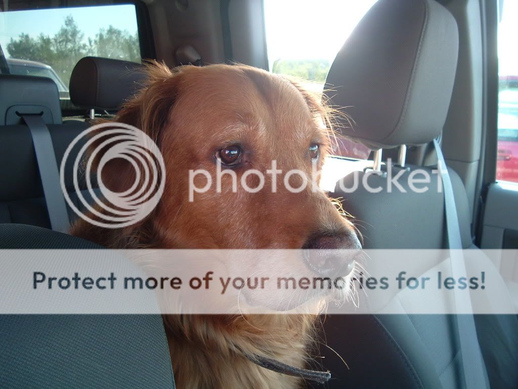 DSCF1791.jpg