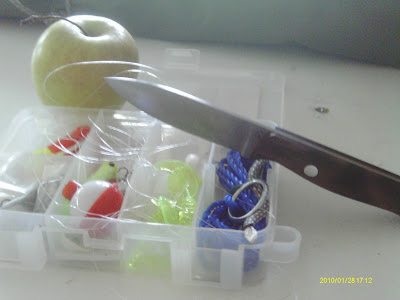 IMAG0670.JPG