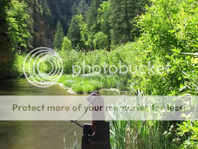 IMG_2288.jpg