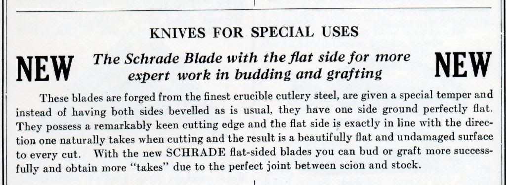 Schradesnewflatblds387.jpg