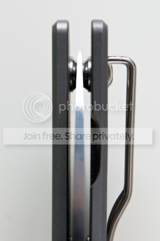 SpydercoSage2_04.jpg