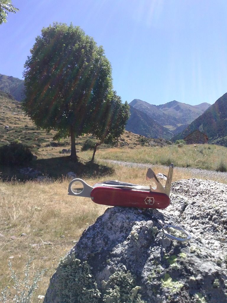 CAM03260_zpsftdompxj.jpg