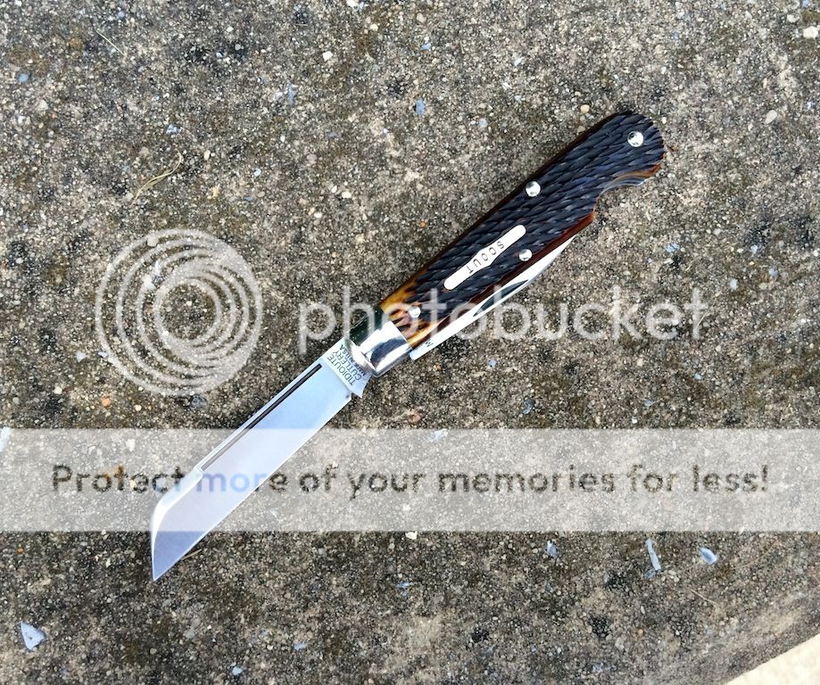 IMG_4725.jpg~original