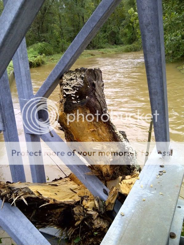District4Marshall-20110908-00065.jpg