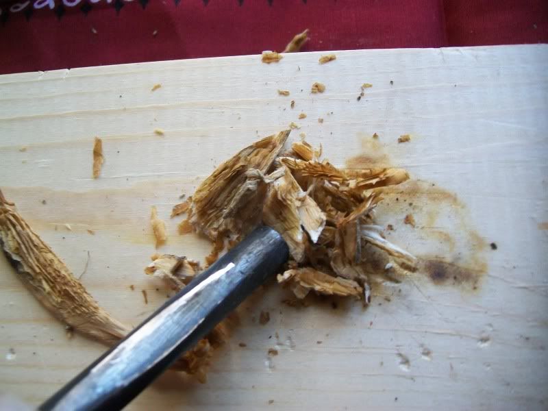 fishfry101.jpg