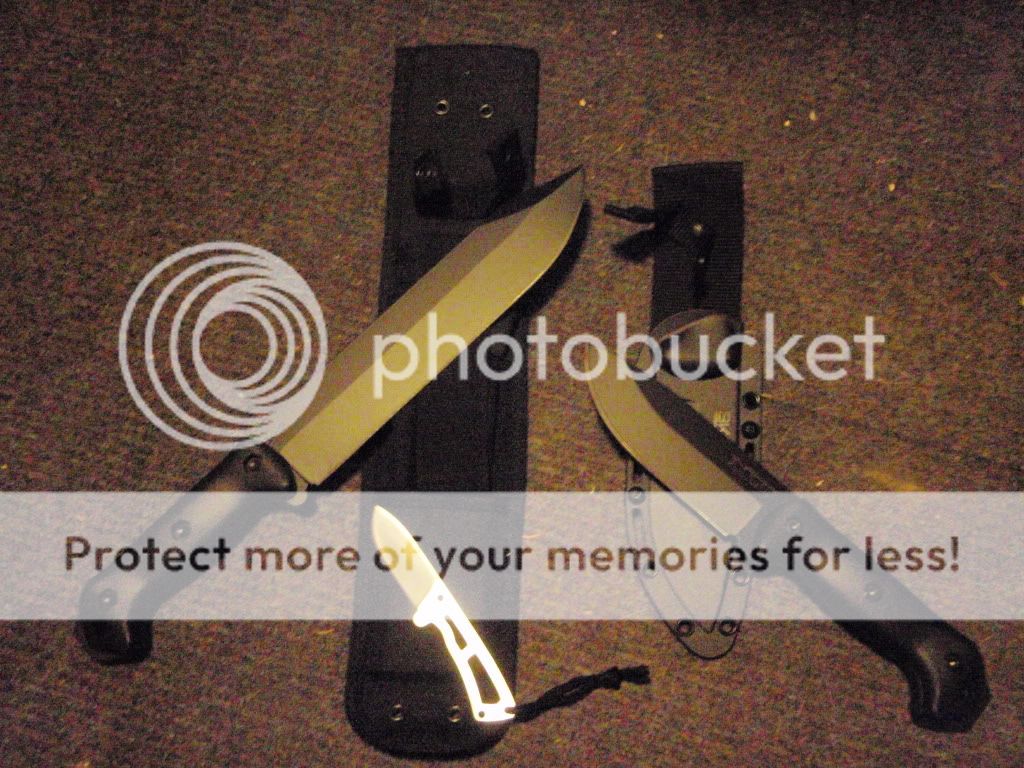 PC220218.jpg