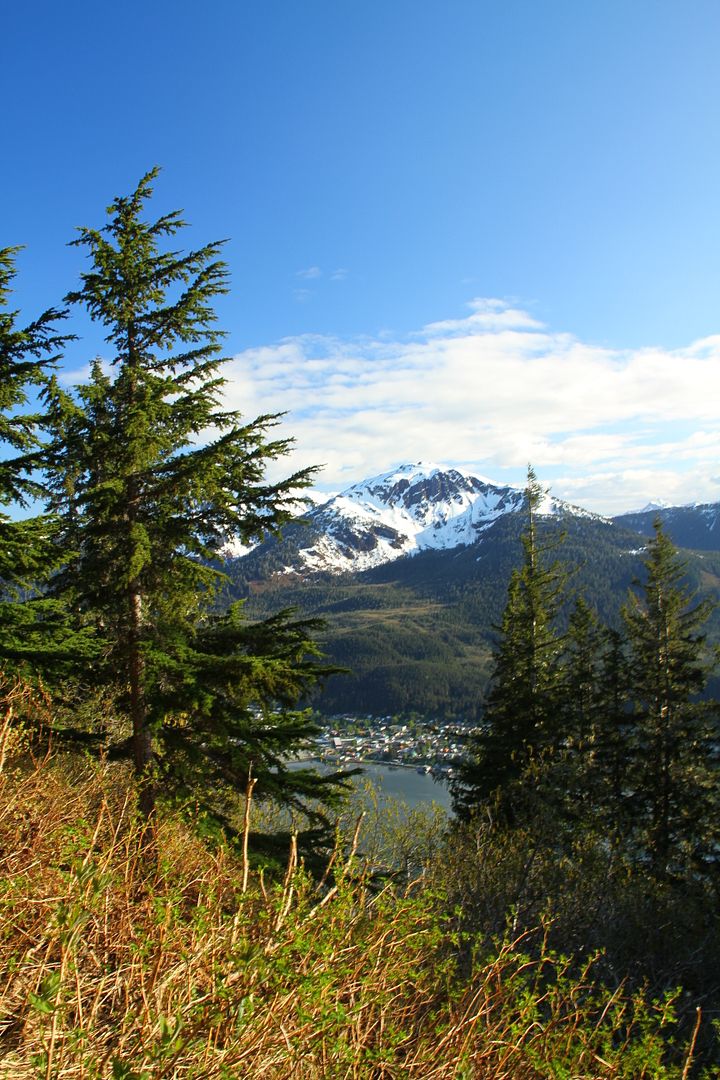 IMG_9468.jpg