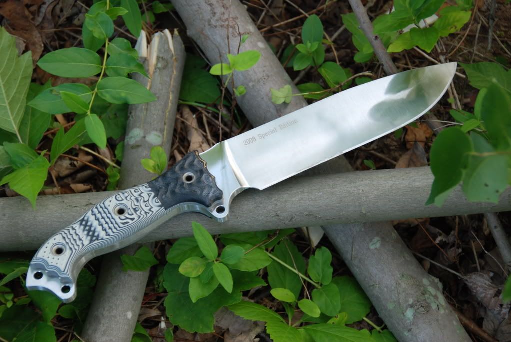 Busse072.jpg
