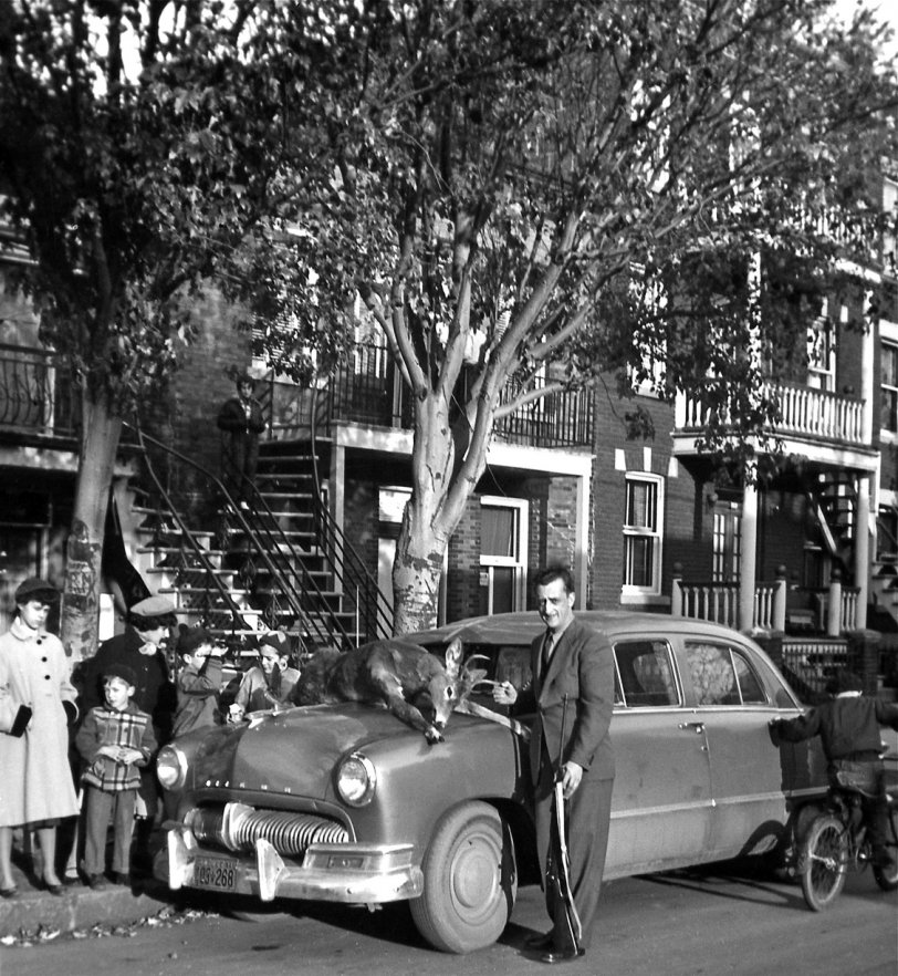 montreal1954.preview.jpg