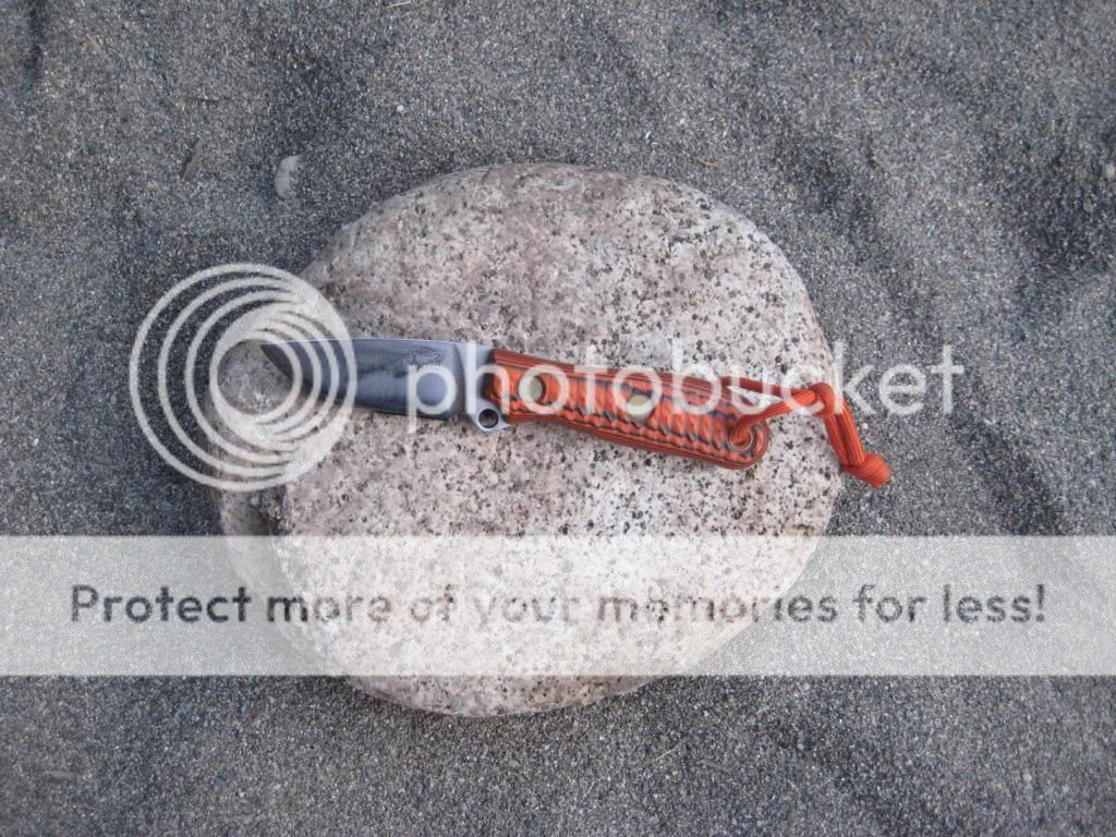 IMG_2273.jpg