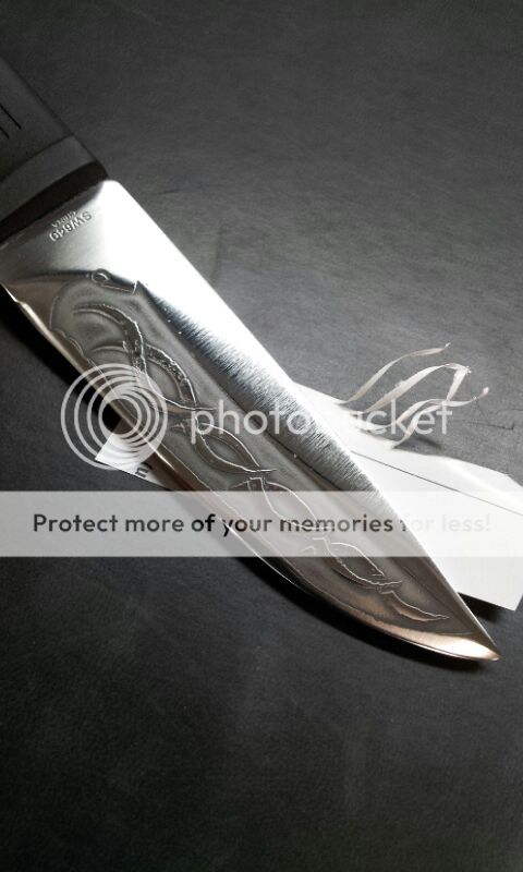 B91723F0-orig_zps33ea5f89.jpg