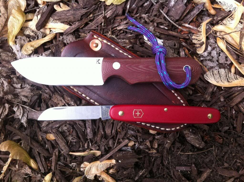 edc1_zpsc5e1caef.jpg