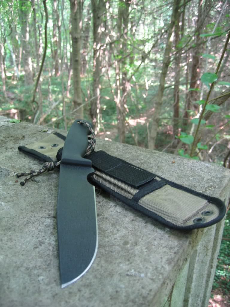 IMG_1508.jpg