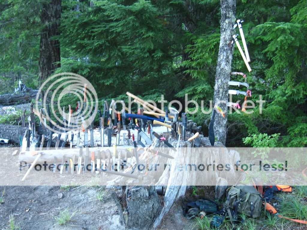 Mischief2011142.jpg