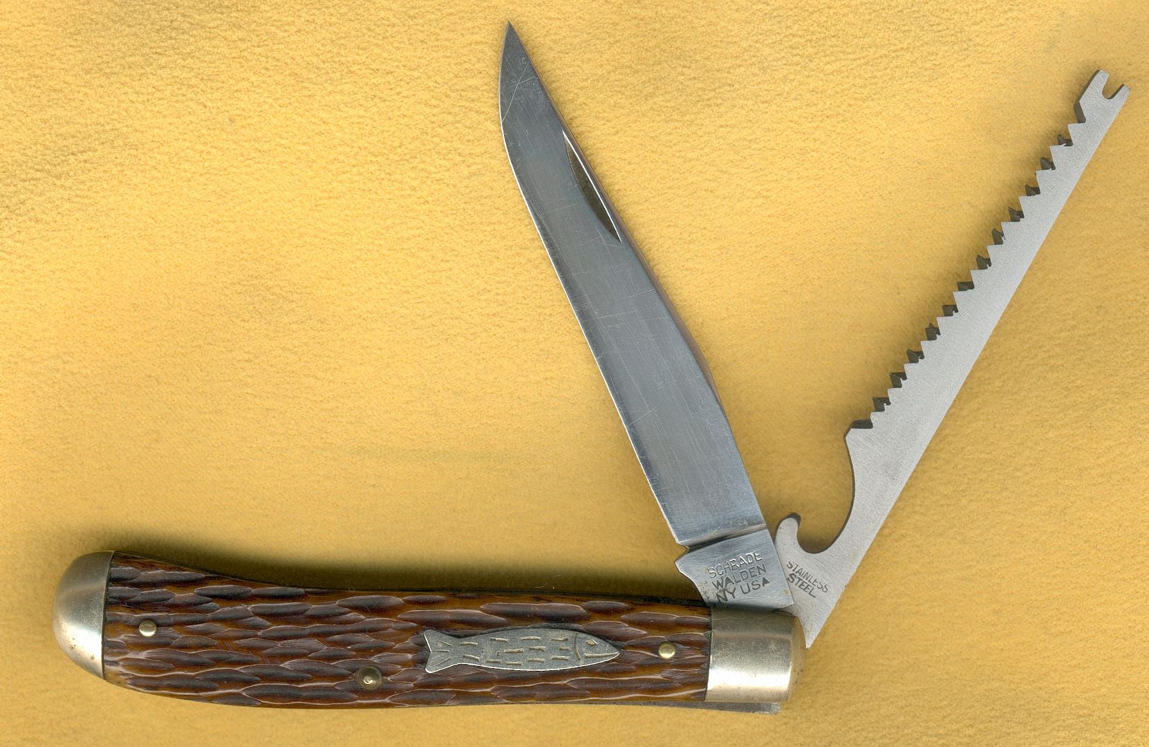 SchradeFish2921.jpg