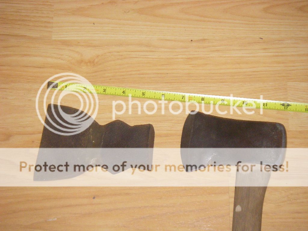 IMGP1420.jpg