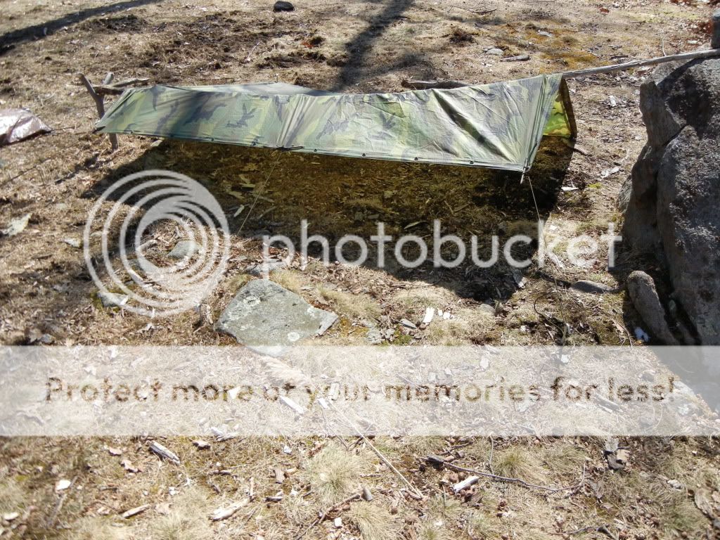 Newpics025.jpg